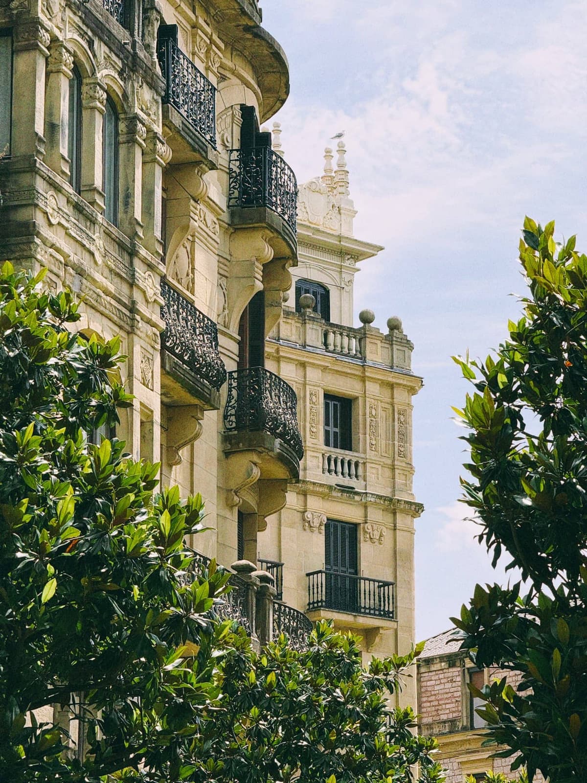 Iron balconies through magnolia leaves on a slow afternoon