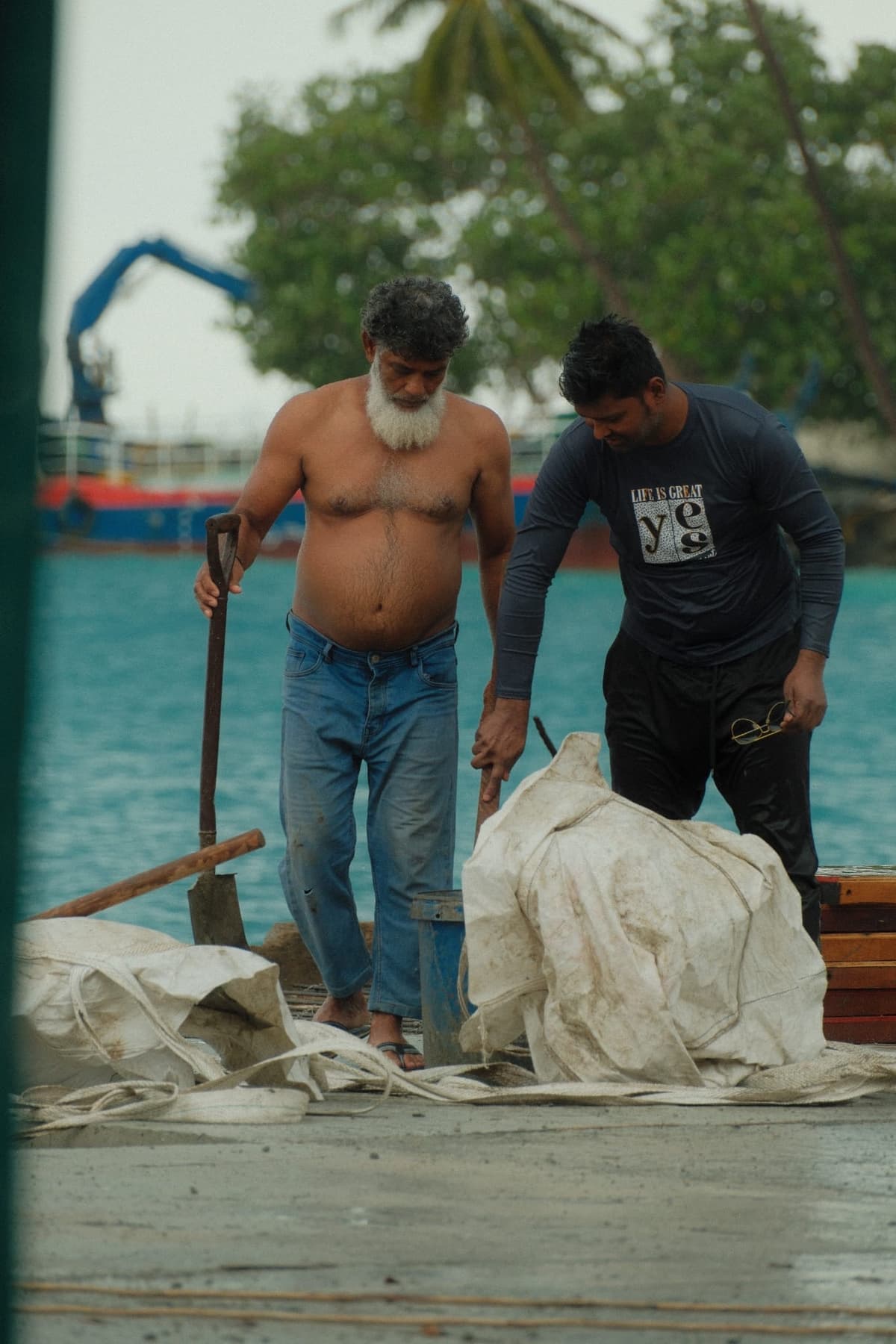 Dockworkers and canvas under the palm line