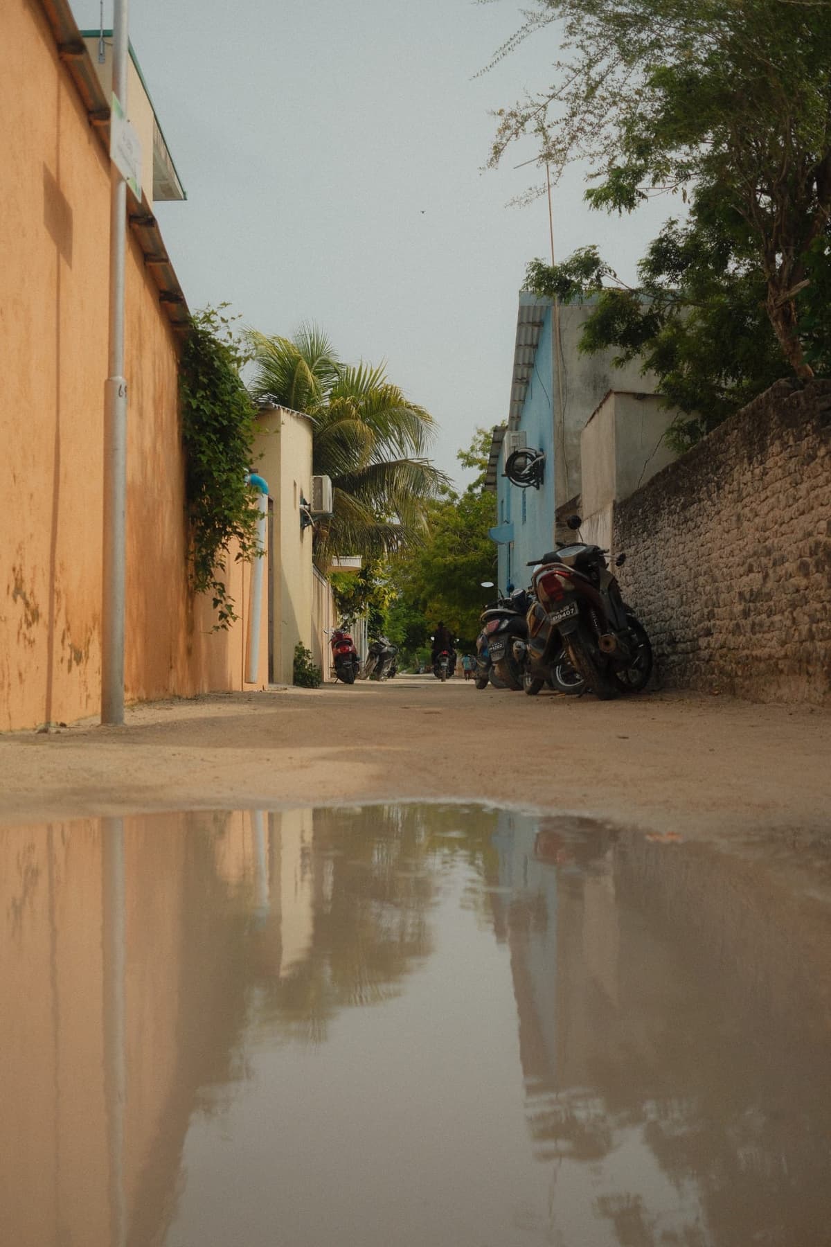 Village alley mirrored in a rain-pooled street