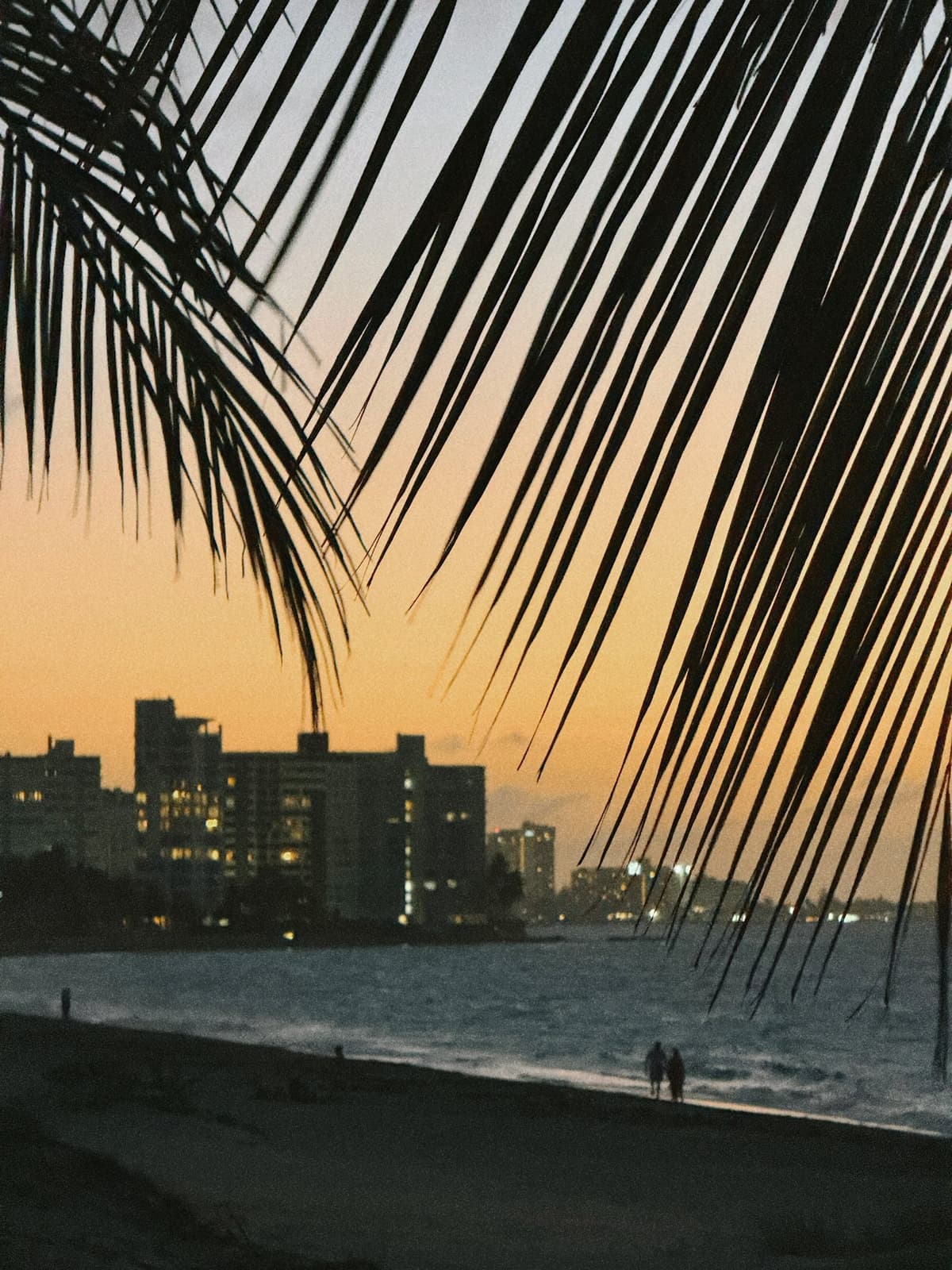 Palm fronds framing the skyline at dusk, two figures down on the sand